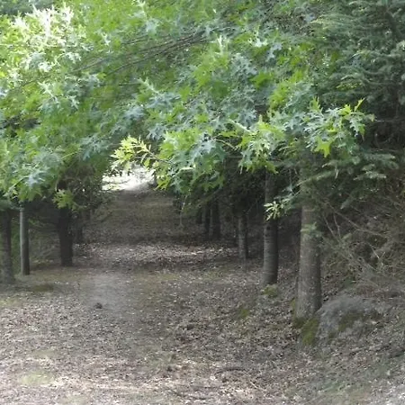 In Villa
